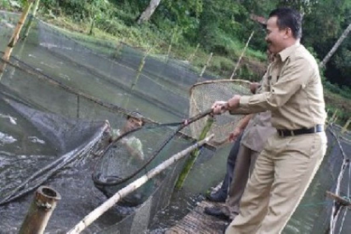 Pemkab Agam Remajakan Induk Tingkatkan Kualitas Ikan