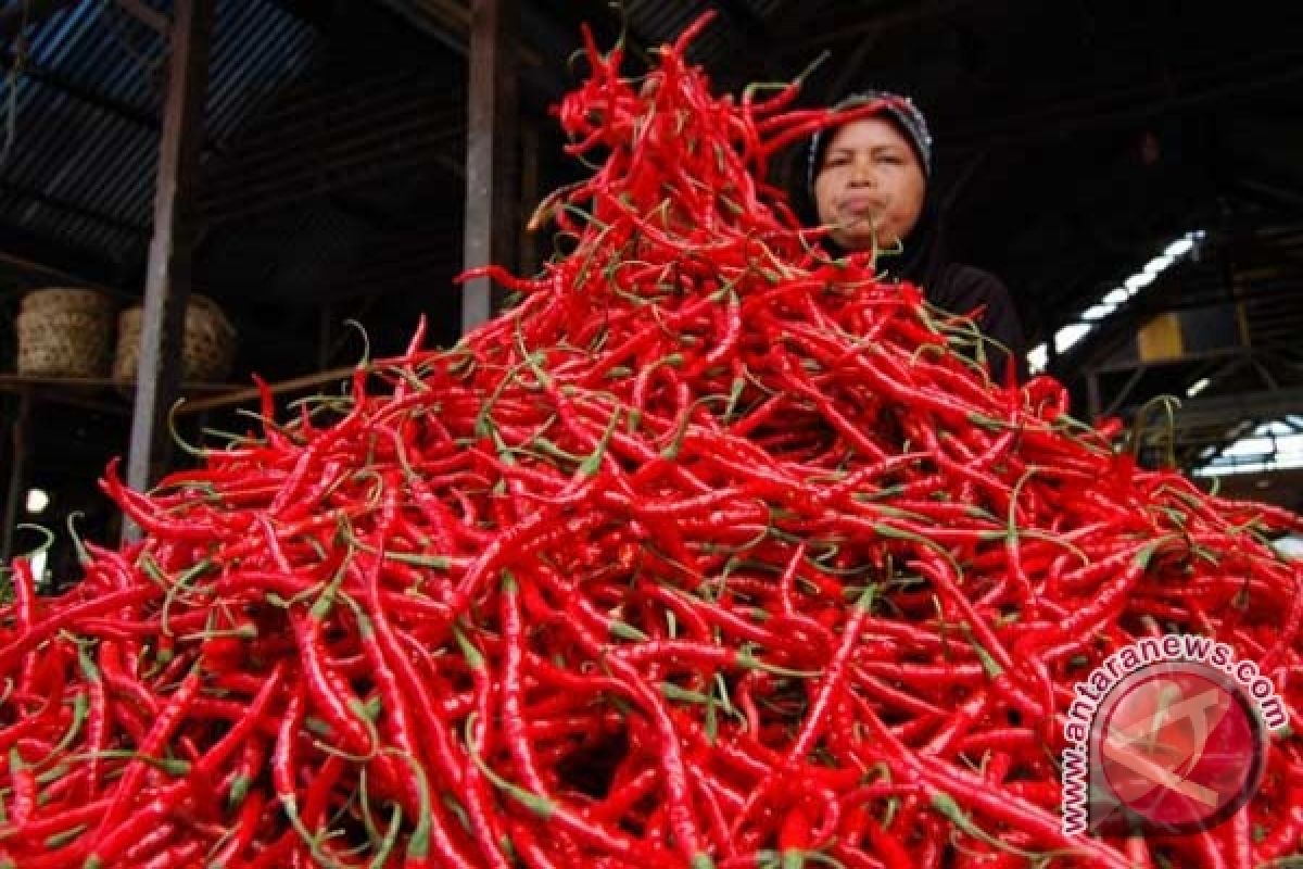 Disperindag Kalteng Akui Harga Cabai Meningkat Drastis 