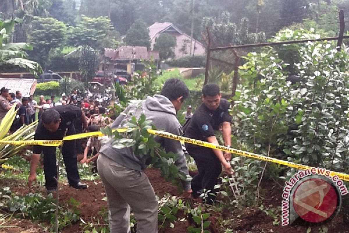 BNN musnahkan tanaman khat bersama warga 