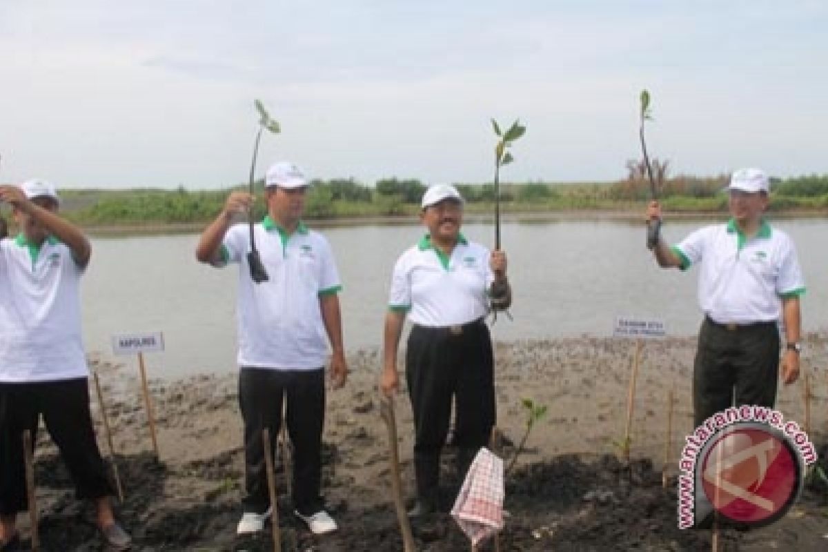 Masyarakat menanam mangrove di muara Sungai Progo 