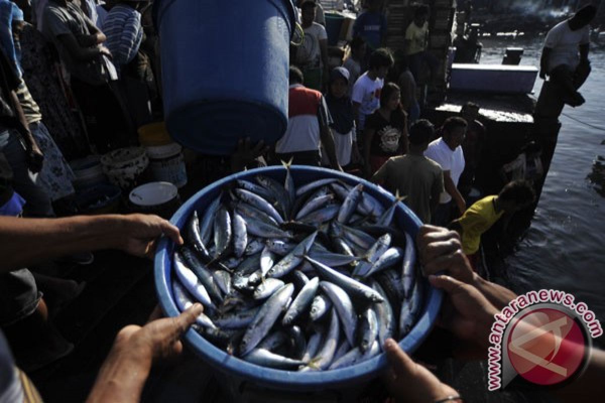30 percent illegal fishing occurs in Indonesia