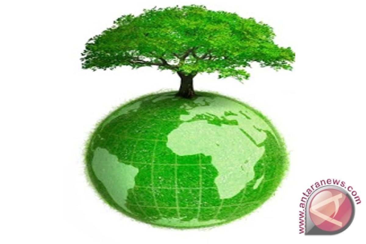 PWI Perwakilan Kotawaringin Timur Tanam 1.000 Pohon