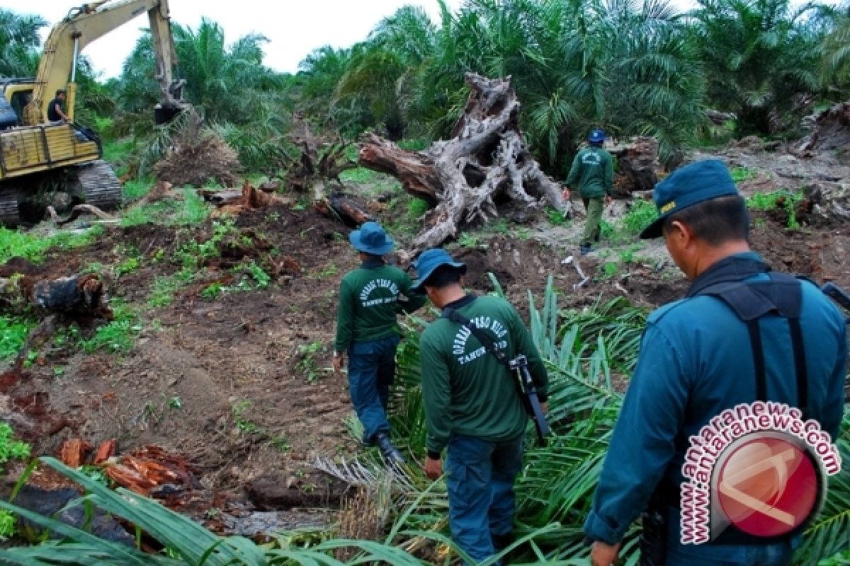 Tesso Nilo Disiapkan Jadi Pusat Konservasi Satwa Liar