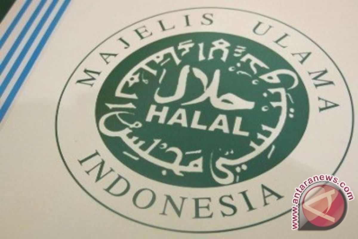 MUI: Pemerintah Jangan Ambil Alih Sertifikasi Halal 