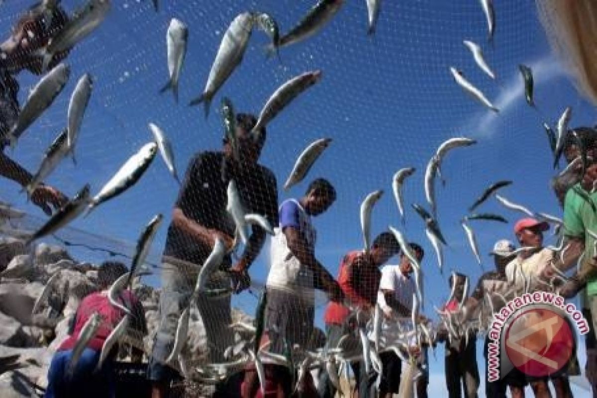 Hasil Tangkapan Ikan Nelayan Capai 15 Ton