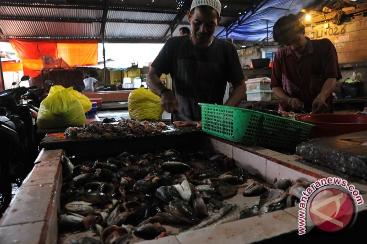 Harga ikan gabus di Palembang alami penurunan 