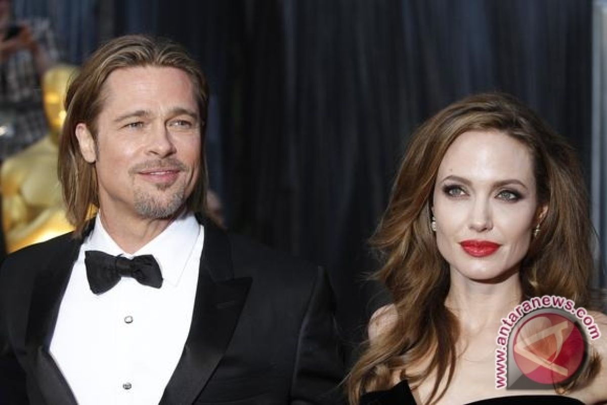 Angelina Jolie Aktris Berpendapatan Tertinggi di AS