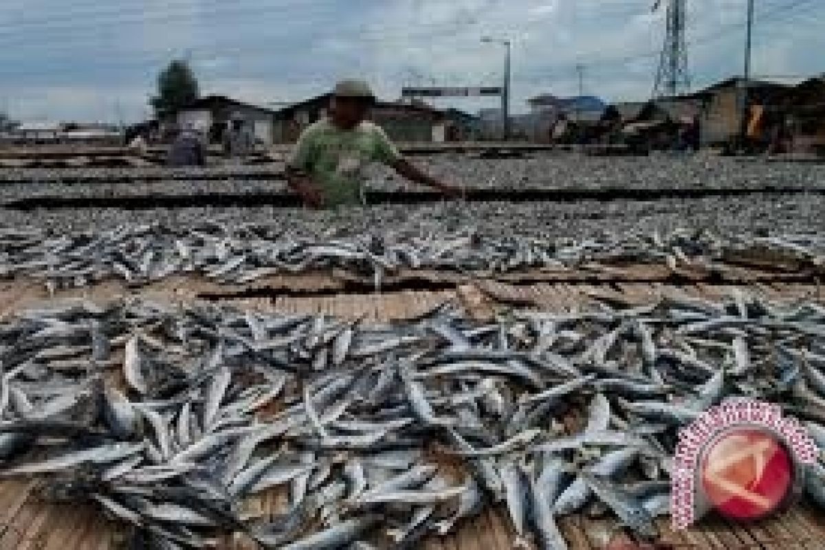 Bupati Bangka Barat Ajak Maksimalkan Pengolahan Ikan