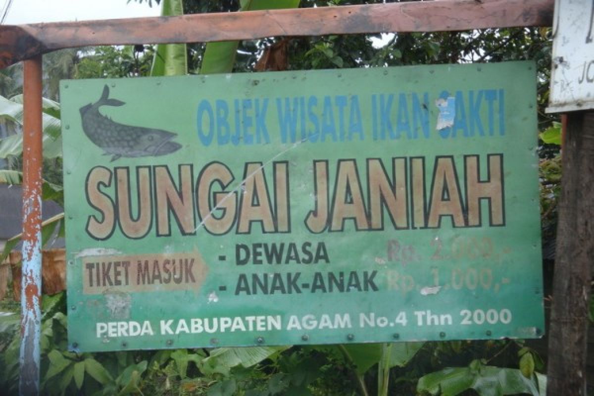 Objek Wisata Sungai Janiah Ramai Saat Libur