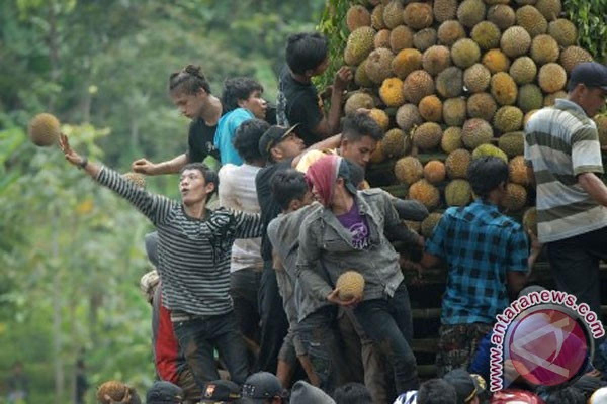 Muara Teweh "banjir" durian