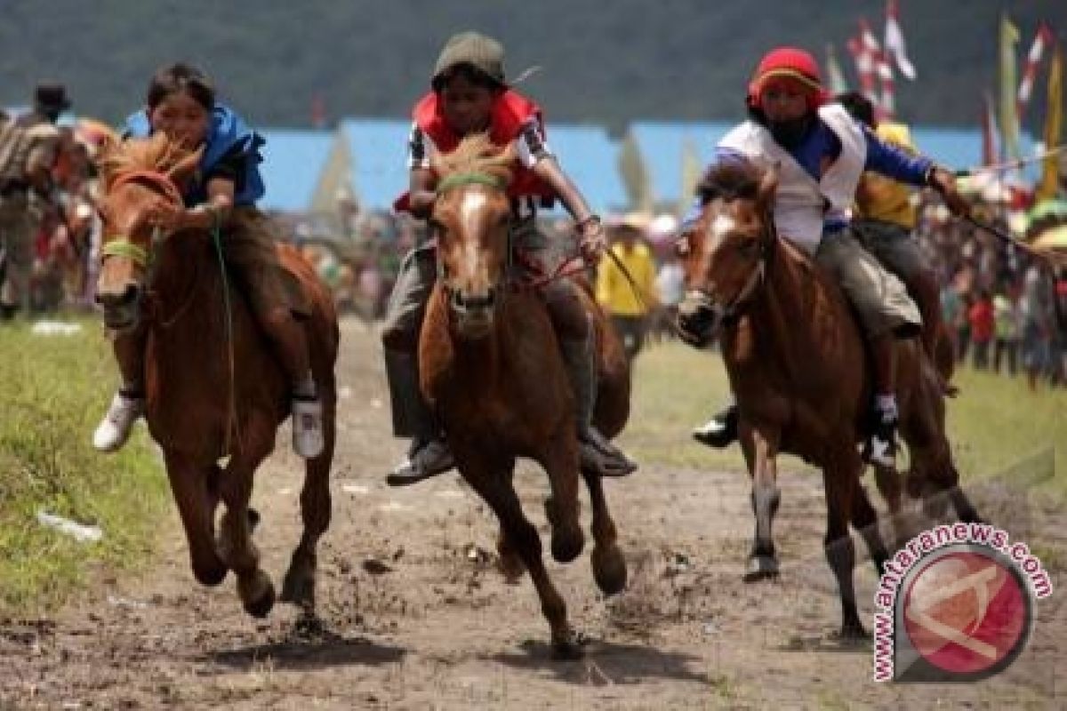 315 kuda "gayo" meriahkan pacuan tradisional