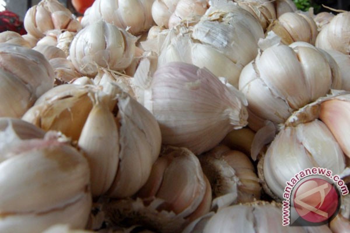 Harga bawang putih bergerak naik di Makassar