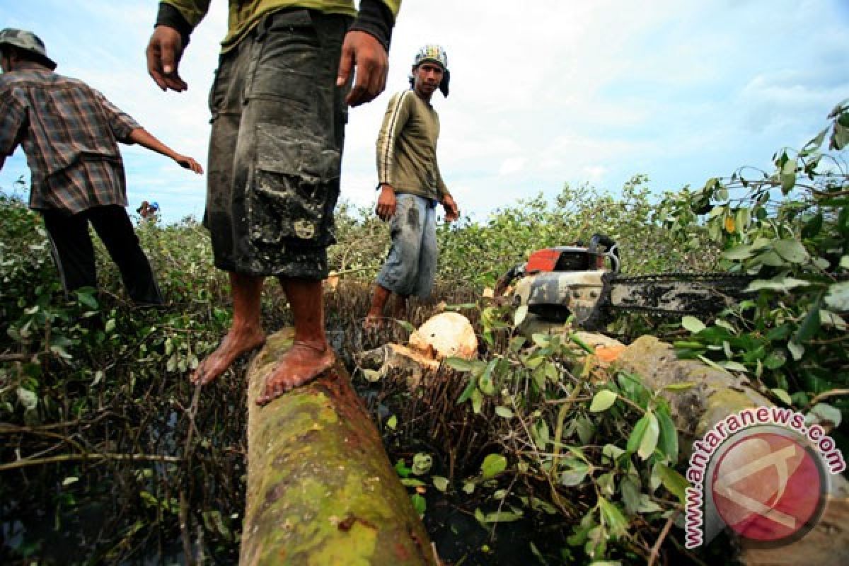 8.233 hektare lahan mangrove Pohuwato beralih fungsi