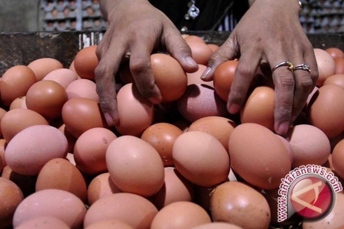 Telur Ayam Malaysia Banjiri Kalimantan Utara