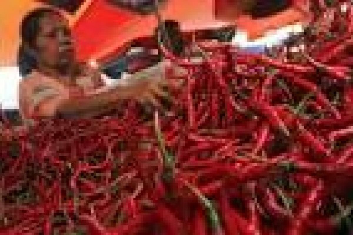 Cabai Merah Kembali Jadi Penyumbang Inflasi di Sumbar