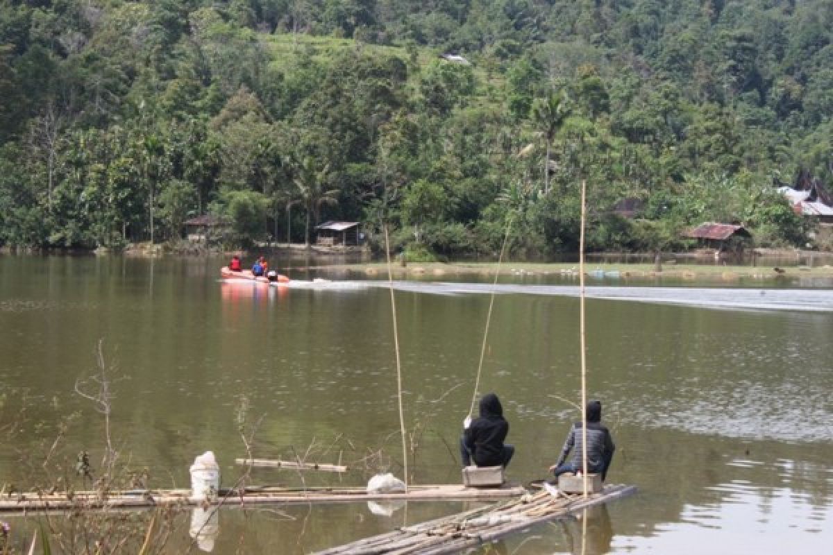 Pemkab Tebar Bibit Ikan di Danau Tarusan Kamang