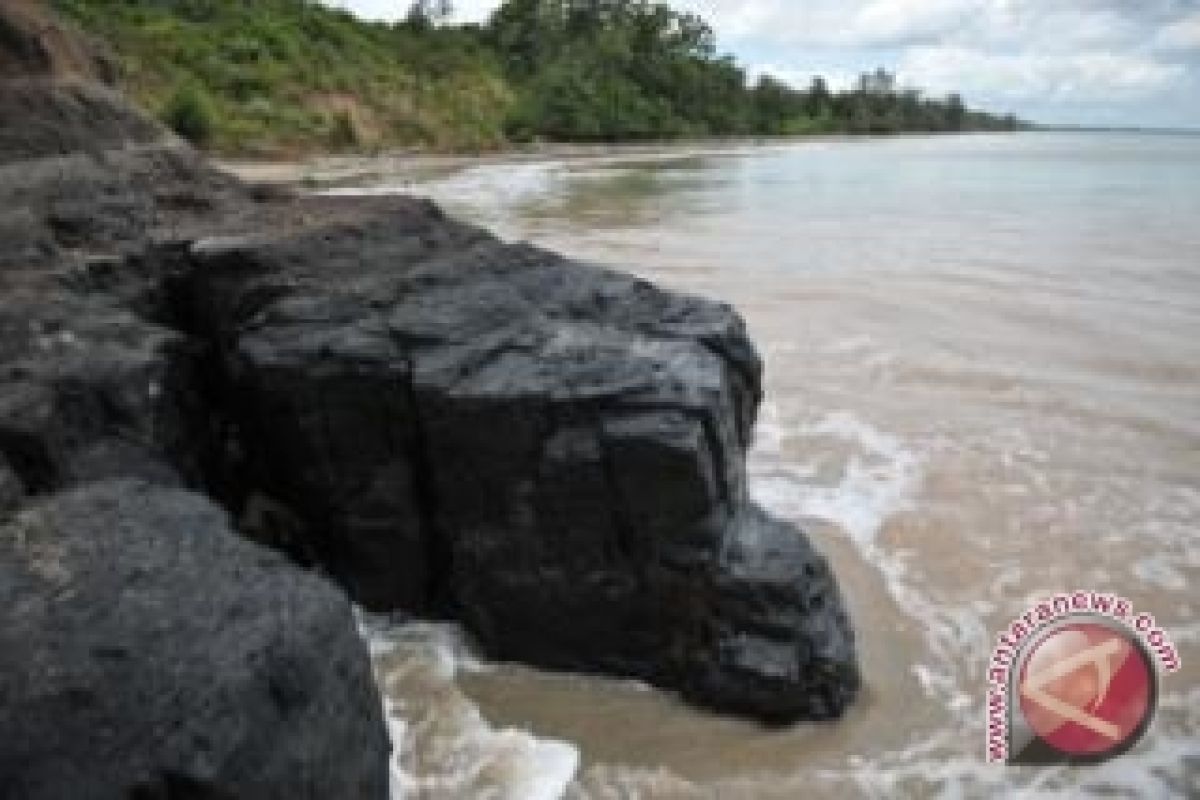 Mardani : Pantai Bunati Bukan Zona Pengembangan Terumbu Karang  