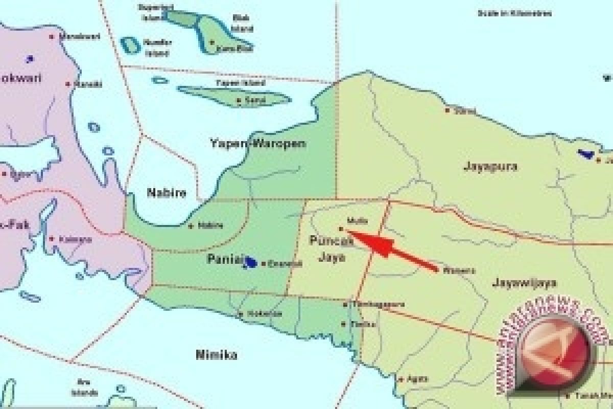 PPI Belanda Tawarkan Solusi Papua