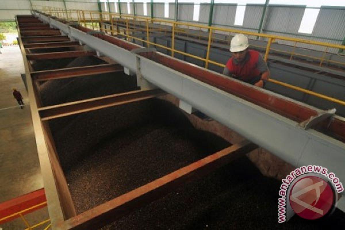 Three palm oil factories to be built in Bangka Tengah