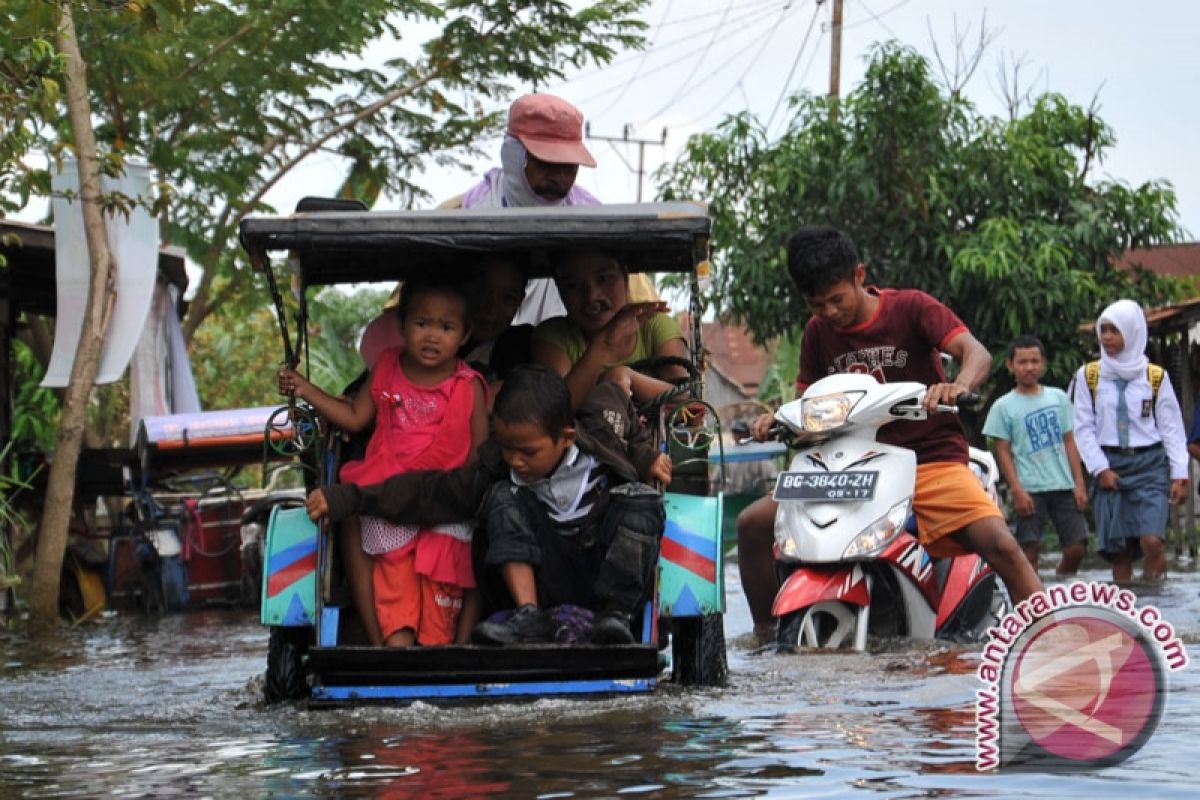 Warsi: Bencana ekologis di Jambi mengkhawatirkan