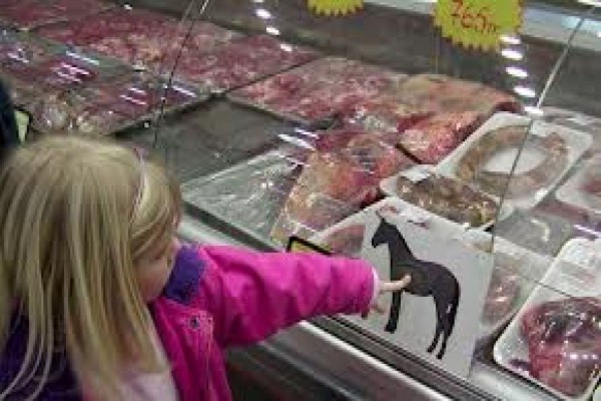 Portugal seizes 79 tons of processed foods containing traces of horse meat