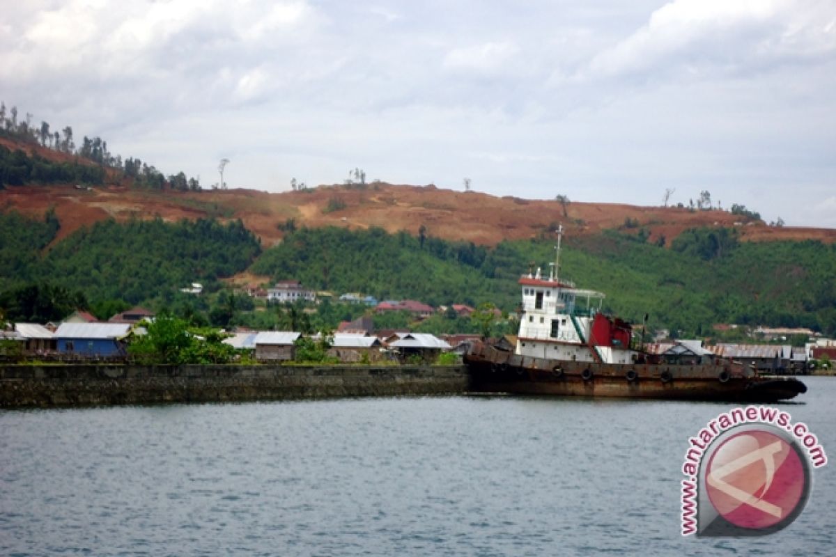 Roa: Perusahaan Tambang Di Sulteng Langgar Prosedur 