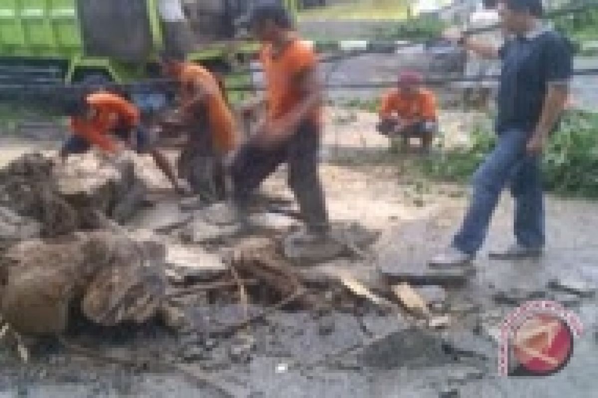 Pohon tumbang di OKU Sumsel ganggu kendaraan 