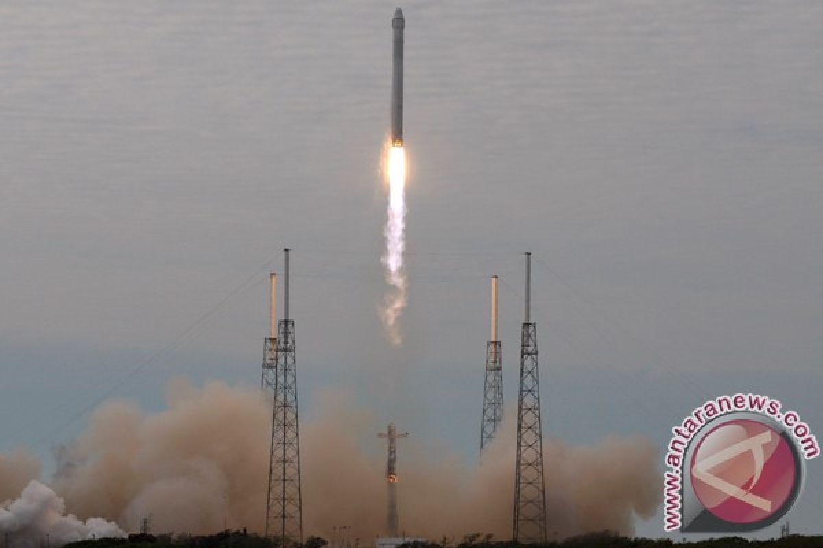 Astronot bisa berkebun di luar angkasa