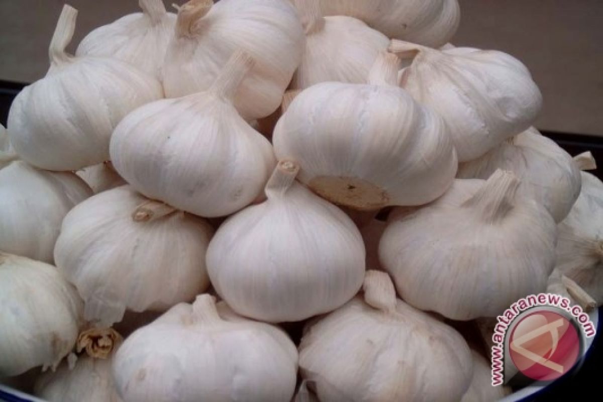 Bawang putih asal China kuasai pasar Nunukan