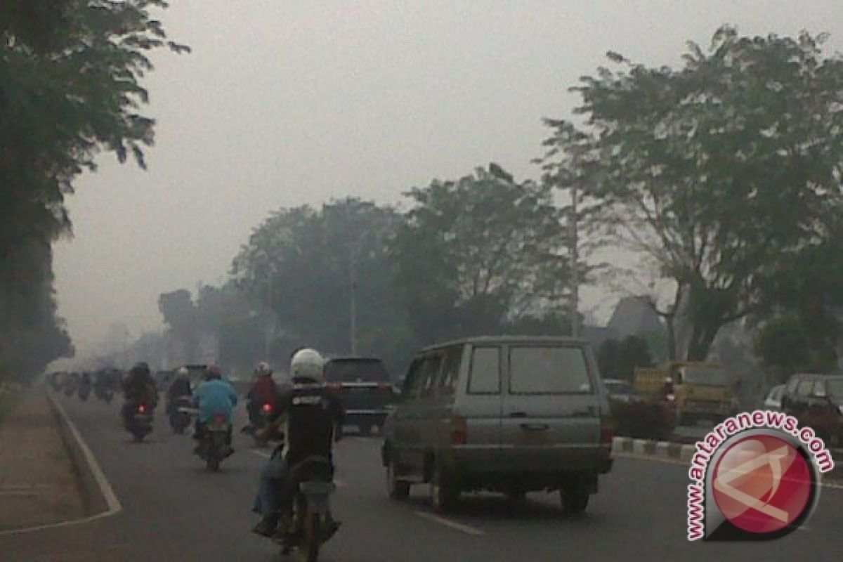 Kabut Asap Selimuti Udara Kota Pontianak 