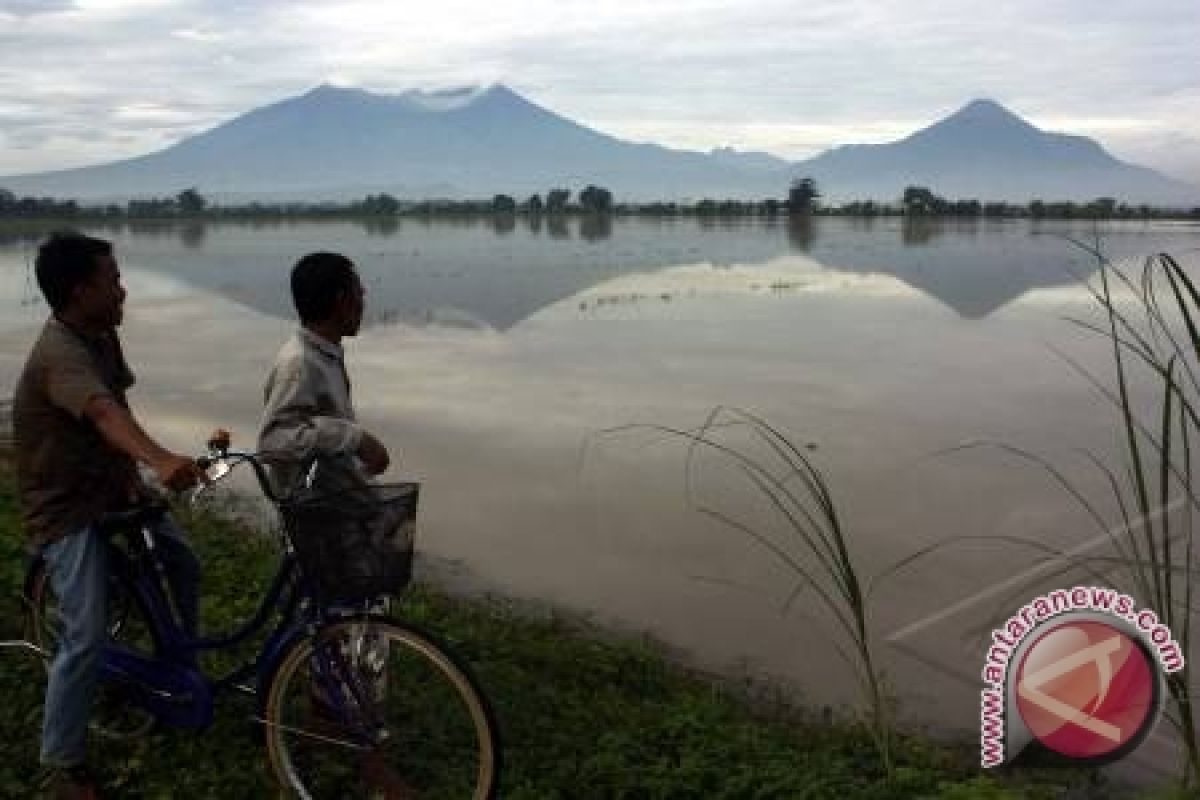 1.110 Hektare Sawah Rusak Terendam Banjir 
