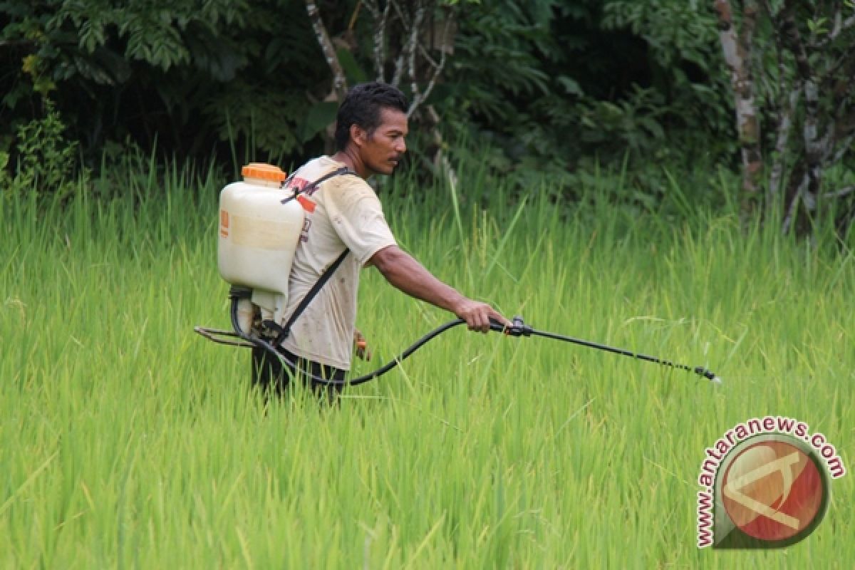 Petani Diduga Keracunan Pestisida 