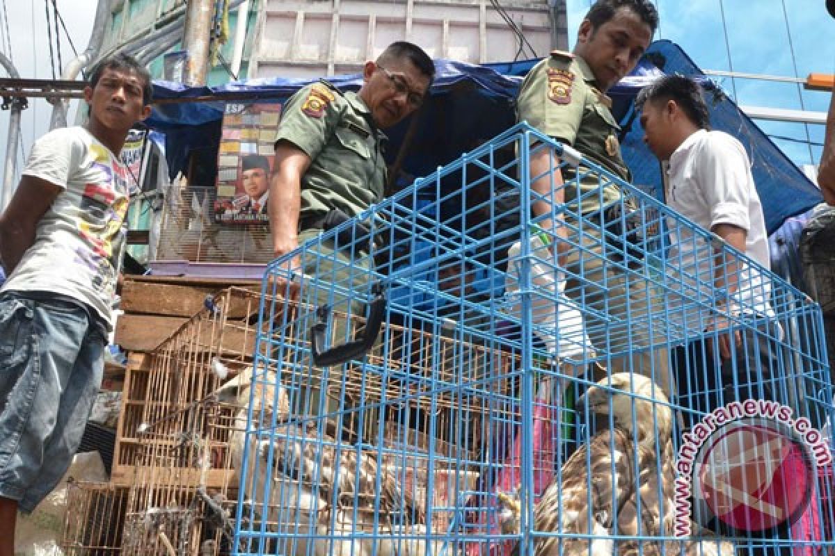 Satwa dilindungi banyak dijual di Pasar Pramuka dan Jatinegera