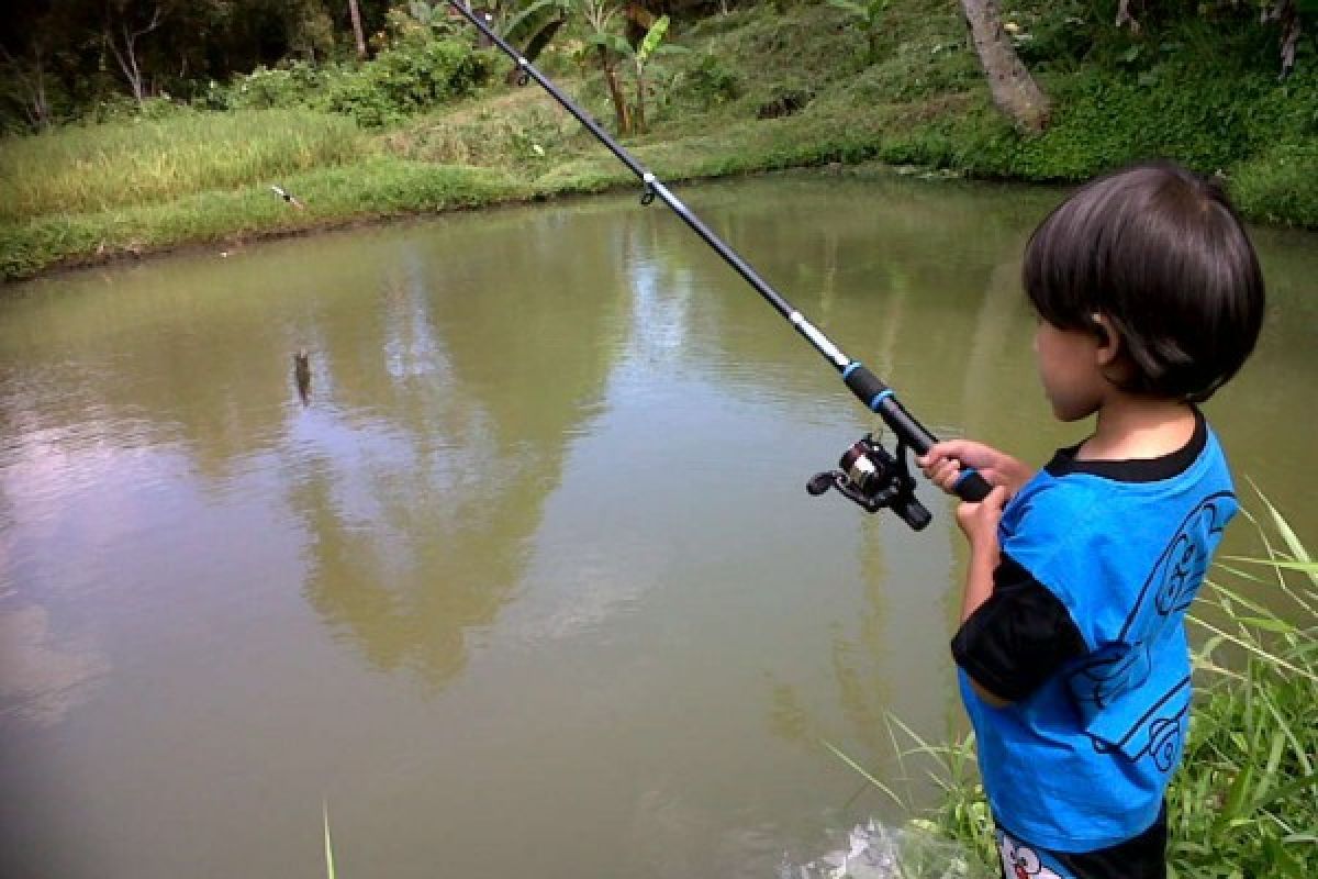 Pemkab Dharmasraya Sertifikasi Kolam Budidaya Ikan