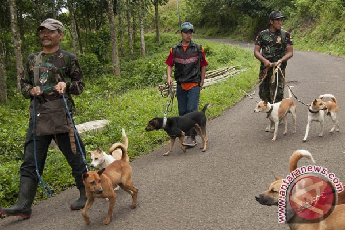 Ratusan anjing-kucing di Cianjur-Jabar divaksinasi rabies
