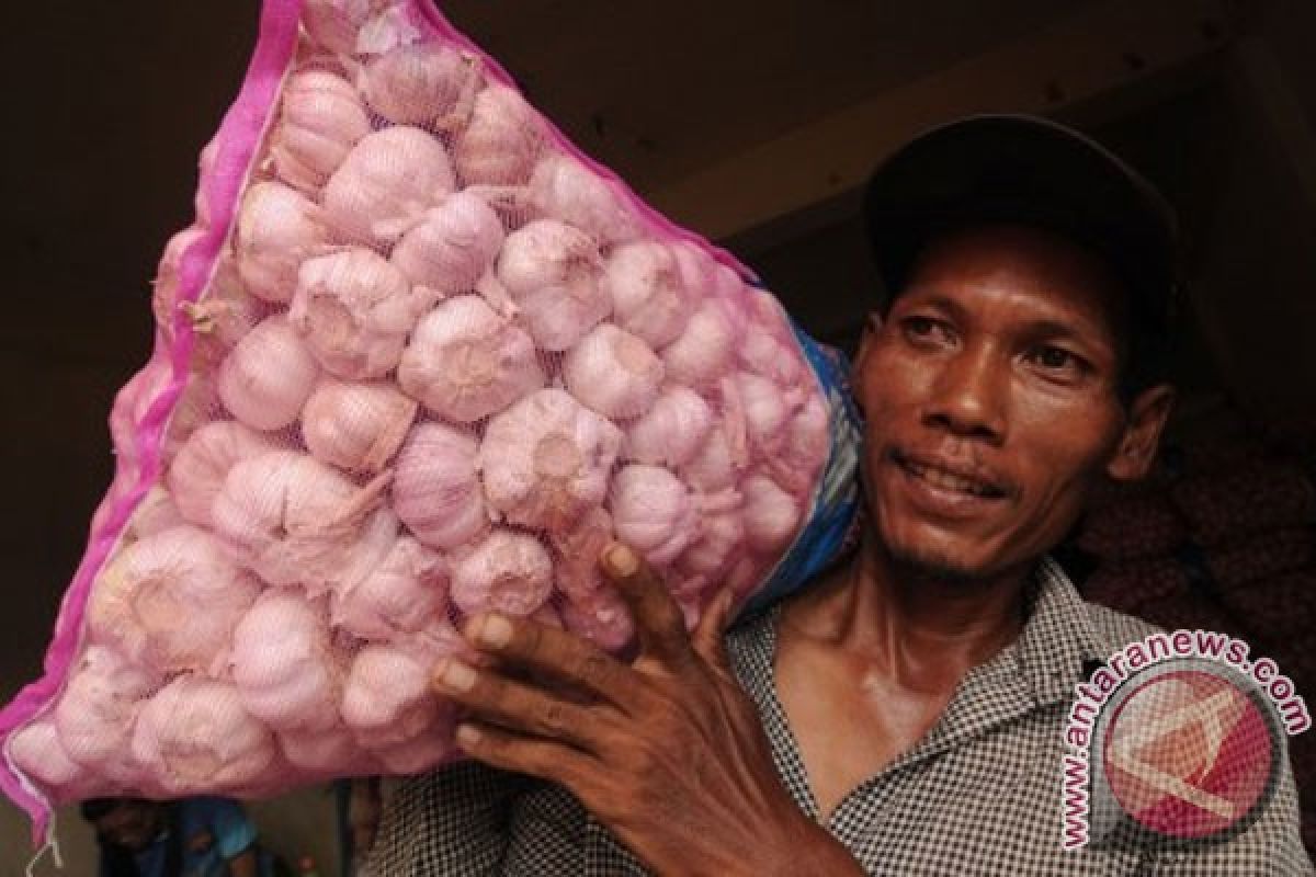 Garlic, shallot prices decrease drastically in Solo