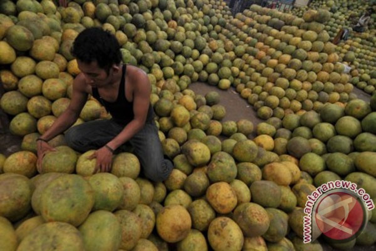 Pembatasan impor untungkan petani