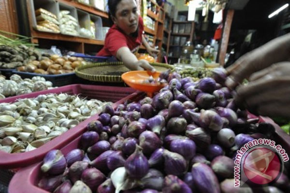 Menteri pertanian akui tidak punya data bawang