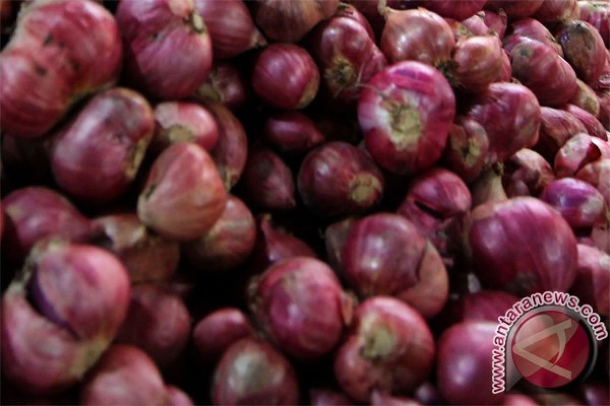 Harga bawang merah Rp50 ribu per kilogram