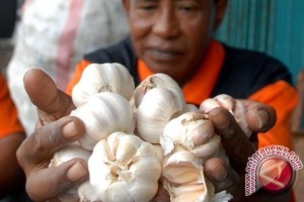 Harga Rempah-Rempah di Gorontalo Utara Turun