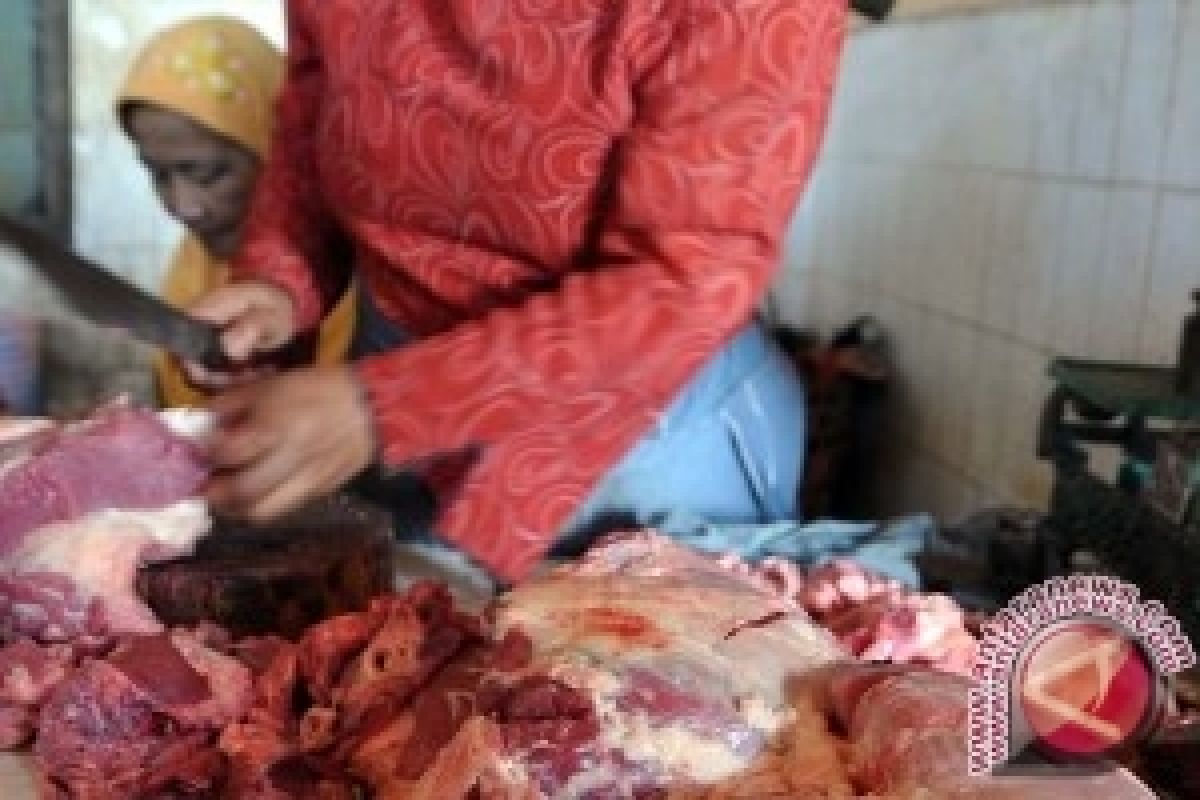 Kebutuhan Daging Sapi di Penajam Meningkat