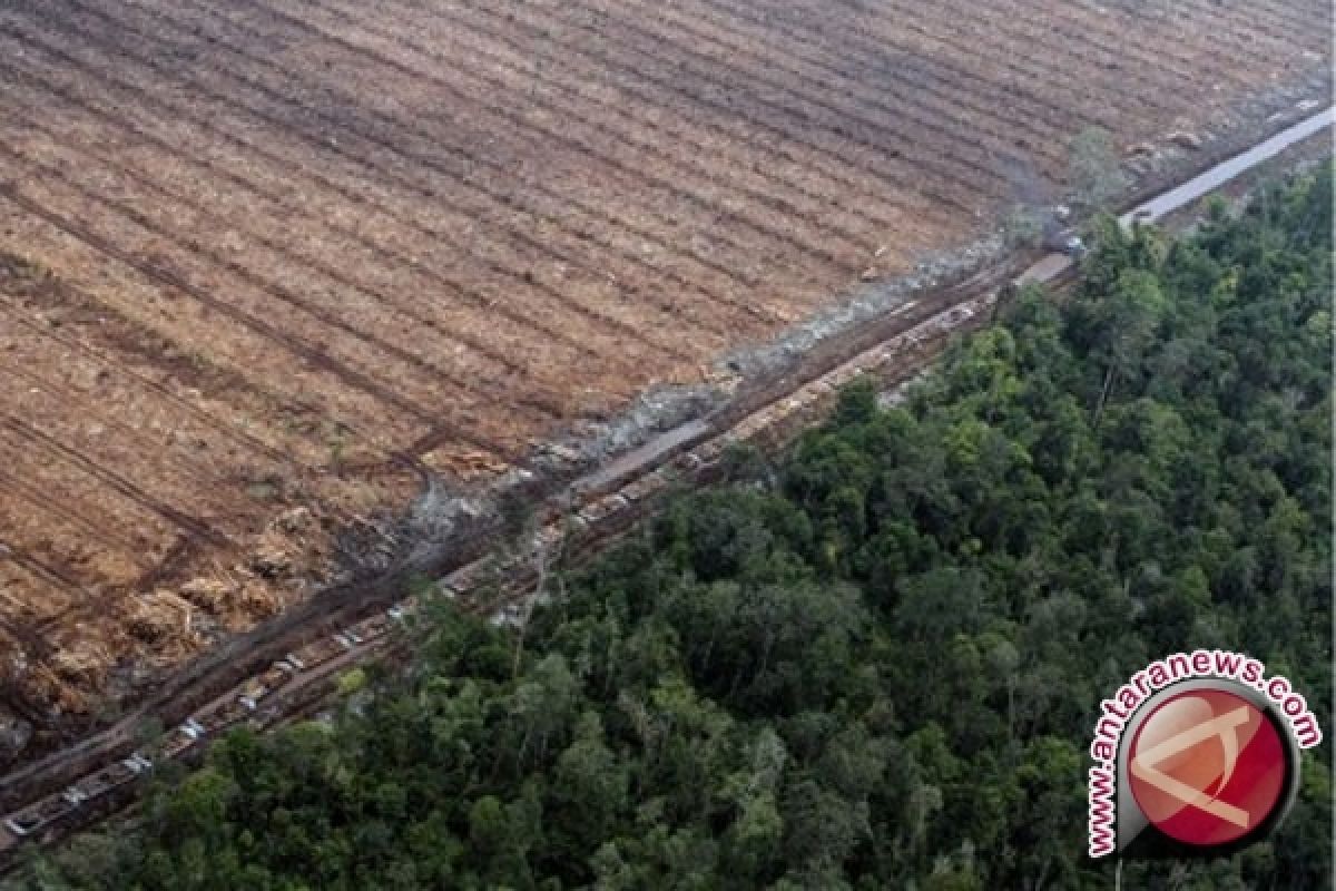 Regulasi gambut berdampak negatif pada ekonomi Riau