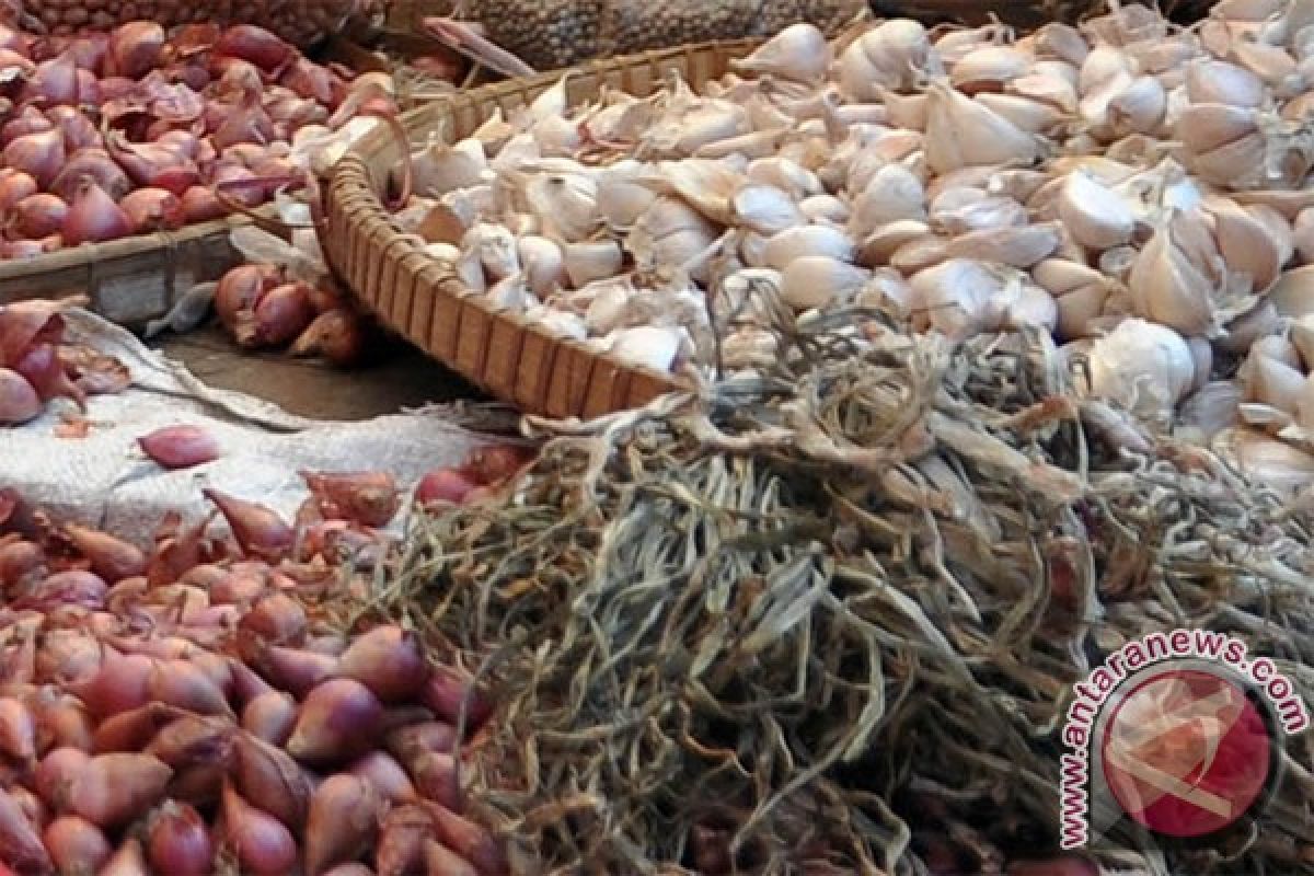 Harga bawang masih belum normal di Banjarmasin