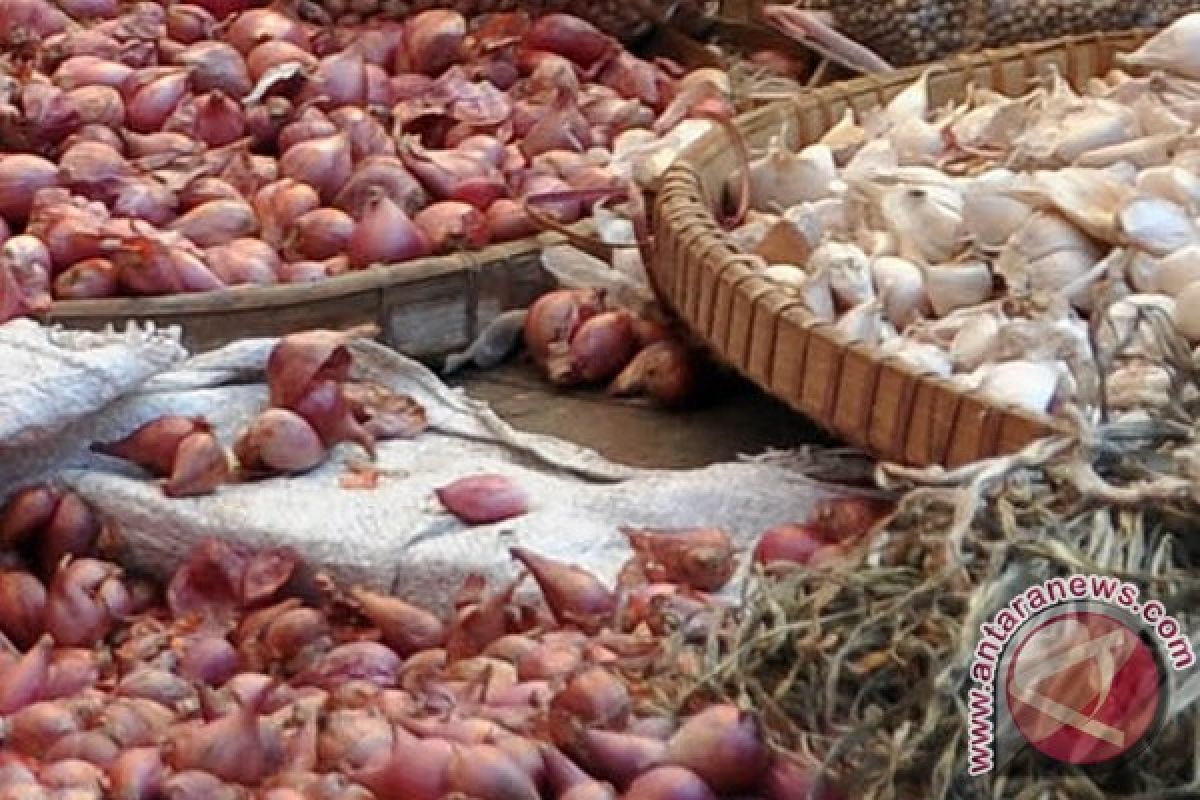 Harga bawang di Kulon Progo kembali membumbung