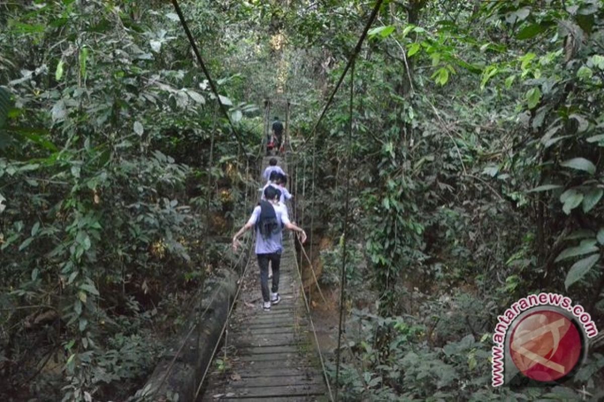 Kondisi Hutan TNK Sangat Mengkhawatirkan Akibat Perambahan 