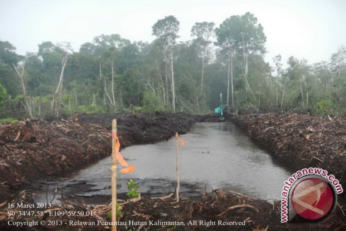 Kubu Raya-ICCTF Kerja Sama Manfaatkan Lahan Gambut 