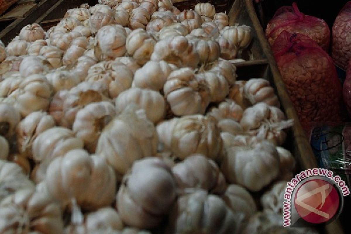 Harga bawang putih menurun lagi