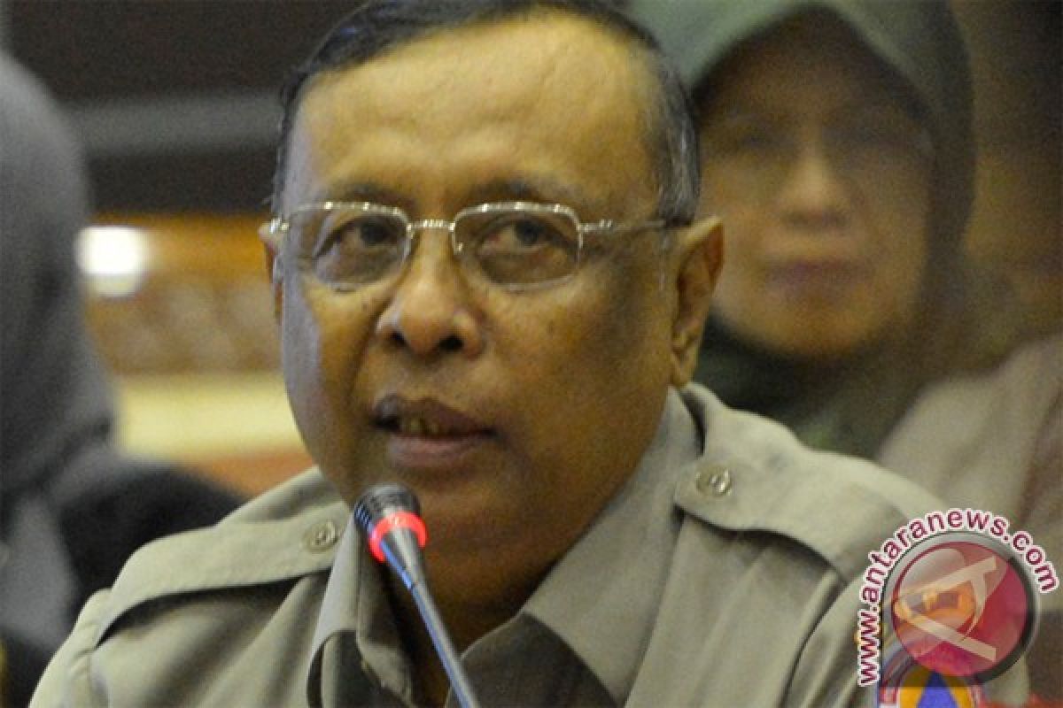 Kepala BNPB dan Menteri LH  tinjau pemadaman kebakaran