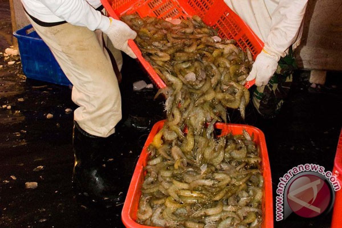 Produk udang Indonesia bebas residu