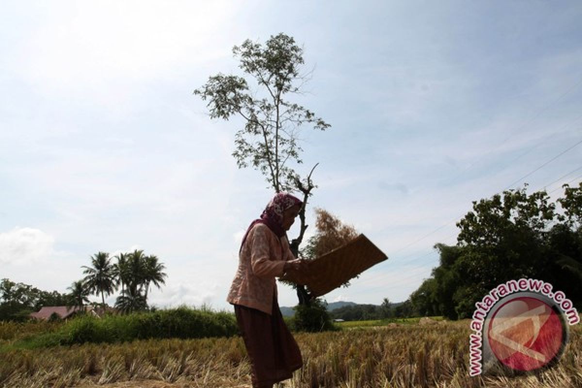 Manfaatkan sensus pertanian untuk kesejahteraan petani